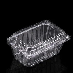 Strawberry Plastic Container 125G 250G 500G Blister Disposable Clear Plastic Packing Berry Strawberry Blueberry Clamshell Box Fruit Packaging Container