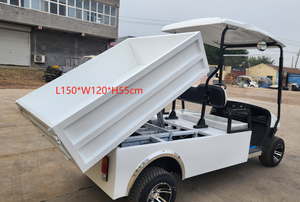 Shininglsv OEM 2 places Cargo Box Chariots de golf Boîte électrique Chariot de golf avec lit plat - Product Image 5