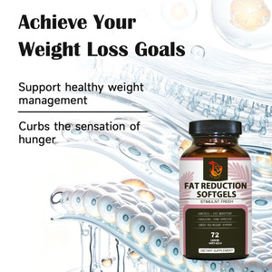 Gélules de réduction de graisse avec extrait de Garcinia favorisent une gestion saine du poids, supercharge l'équilibre digestif et la fonction intestinale - Product Image 3