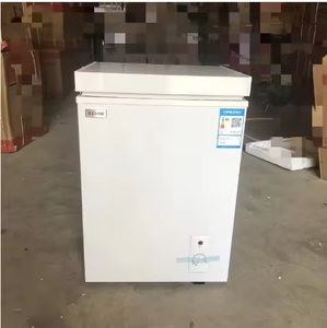 Congélateur de petite capacité X 42L, <span class=keywords><strong>prix</strong></span> <span class=keywords><strong>d</strong></span>'usine, congélateur domestique et commercial, congélateur spécial, adapté à 1-2 personnes - Product Image 4