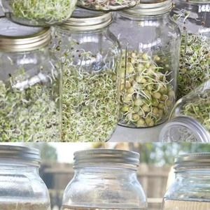 Lot de <span class=keywords><strong>3</strong></span> couvercles en acier inoxydable pour bocaux de germination pour une superbe ventilation adaptés aux bocaux Mason à large ouverture pour la fabrication d'<span class=keywords><strong>orga</strong></span> - Product Image 2