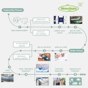 Dùng Một Lần Vệ Sinh Quần Tùy Chỉnh Nhà Sản Xuất Thương Hiệu Kinh Nguyệt Vệ Sinh Khăn Ăn Quần Cho Phụ Nữ | Newclears - Product Image 6