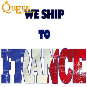 وكيل الشحن السريع DDP الصين فرنسا فعالة من حيث التكلفة عبر الإنترنت وكيل شراء بالجملة للشاحنين انخفاض المشترين سوق الخدمات اللوجستية - Product Image 2