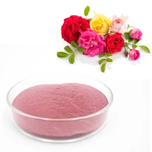 FST Biotec поставка 10 1 экстракт розы экстракт шиповника порошок