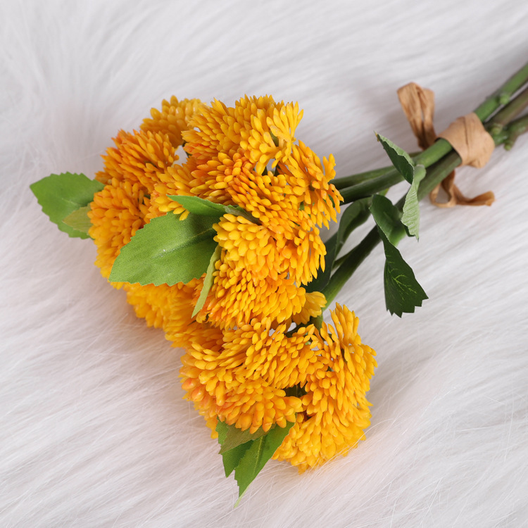 Hydrangea fruit, yellow