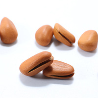 Pijnboompitten 500 Gram Chinese Pijnboompitten Pignons De Pin Nuts Droge vruchten en noten Snack
