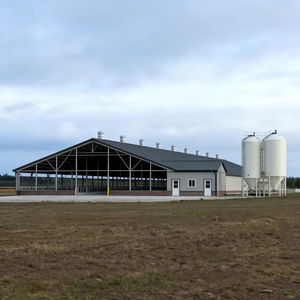 Stalla per Bestiame in Acciaio Antincendio e Anticorrosione per Allevamento di Bovini da Latte e da Carne - Product Image 3