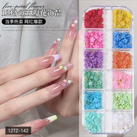Nouvel ensemble d'accessoires pour nail art transfrontalier, breloques en résine pour ongles, fleurs à cinq pétales, dos plat, couleurs unies, motifs multicolores