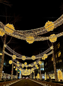 LED 조명 거리 대형 조명 장식 2026 쇼핑몰 호텔 장식 - Product Image 5