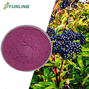 Порошок сока бузины 99% чистоты, двойной концентрат, пищевой травяной экстракт, ISO-сертифицированный, жидко-твердая экстракция, ведро - Product Image 1