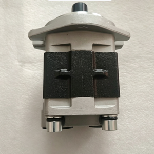 Pompe à engrenages pour huile CBHZG-F32-ALH6L, pompe hydraulique à engrenages en acier inoxydable CBHZQA-F25-AL, CBHZG-F32-ALH6L, CBHZ-F28.2-AL - Product Image 4
