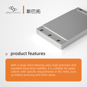 Capteur de force de poussée de précision pour la pesée de matériaux sur convoyeur à bande avec sortie stable - Product Image 3