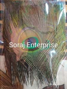 Plumes de paon brutes Mor Chhadi pour les arts, l'artisanat, les décorations de mariage et de fête, les accessoires de mode, le bricolage et les spectacles sur scène - Product Image 6