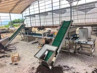 Machine automatique de semis pour plateau de semis agricole, puissante semoir de type seringue pour plateaux de culture