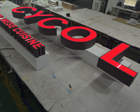 Enseigne publicitaire lumineuse à LED, enseigne à lettres rétroéclairées, conception personnalisée, enseigne à lettres LED, éclairage LED 3D extérieur