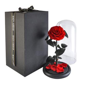 <span class=keywords><strong>Rose</strong></span> <span class=keywords><strong>éternelle</strong></span> sous dôme, disponible dans <span class=keywords><strong>la</strong></span> <span class=keywords><strong>belle</strong></span> <span class=keywords><strong>et</strong></span> <span class=keywords><strong>la</strong></span> bête, fleur romantique, grande tactile - Product Image 2