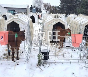 Caja de alimentación de becerro, instrumentos de veterinaria, <span class=keywords><strong>cerca</strong></span> de acero - Product Image 3