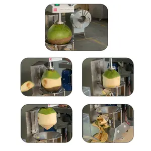 Automatic Coconut Peeler Machine Coconut Peeler Machine Price