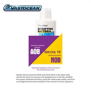 Bactéries nitrifiantes actives pour <span class=keywords><strong>aquarium</strong></span> marin <span class=keywords><strong>100L</strong></span>, éliminent rapidement les NO2/NH4, établissent rapidement un système d'eau de mer pour les poissons - Product Image 4