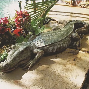 Süper büyük yaşam boyutu bronz döküm bahçe açık dekoratif hayvanlar heykel timsah timsah heykelleri heykelcik satılık - Product Image 4