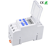 Interruptor de Tiempo Digital Programable Semanal de 7 Días, Monofásico, para Riel DIN, 1NO 1NC, Relé Temporizador AC/DC 12V 24V 48V 110V AC220/230V