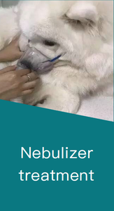 MICiTECH vente chaude stabke performance animal animal de compagnie vétérinaire importateur générateur d'oxygène portable concentrateur d'oxygène 10 lpm - Product Image 4
