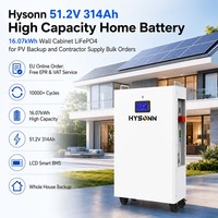 Batterie domestique haute capacité Hysonn 51.2V 314Ah 16.07kWh LiFePO4 pour armoire murale, idéale pour la sauvegarde photovoltaïque et les commandes en gros pour entrepreneurs