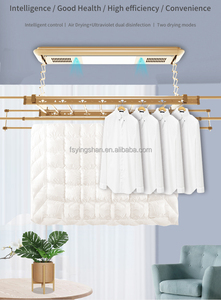 Vente directe d'usine ascenseur de plafond électrique intelligent monté suspendu étendoir à linge mur en métal doré pliant sèche-linge cintre - Product Image 5
