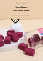 Ensemble d'éponges de maquillage non absorbantes utilisation humide et sèche boîte de rangement bouffée support de corne de cerf OEM vente en gros
