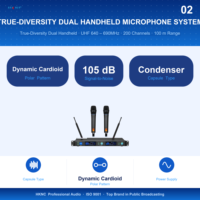 Système de microphone sans fil UHF double canal True Diversity, 200 canaux, portée 100m, micros portatifs pour Karaoké, Église, Scène, Réunion