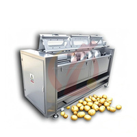 Qiangda Hot Sale Automatische Fruit- en Maïs Schilmachine voor Aardappel, Cassave, Noten, Water, Tarwe, Gewassen Borstel, Sojabonen Verwerking