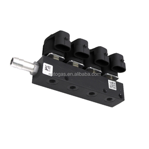 Yiwu Inyector <span class=keywords><strong>Precio</strong></span> de fábrica Nuevo CNG LPG GNV <span class=keywords><strong>GLP</strong></span> LPG Kit de conversión Inyector de inyección secuencial Inyector de combustible de coche de 2 Ohmios - Product Image 6