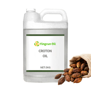 מפעל מכירה ישירה של שמן קרוטון yx283 צמח טבעי שמן אתרי - Product Image 3