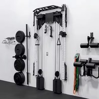 Rack de musculation mural multifonctionnel pliable pour usage domestique et professionnel avec support de poids en acier inoxydable