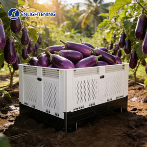 Conteneur <span class=keywords><strong>de</strong></span> stockage pliable, empilable, écologique, en plastique ventilé HDPE sans soudure pour <span class=keywords><strong>thon</strong></span> australien d'Alaska - Product Image 3