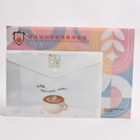 Carpeta con botón a presión A6, A5, A4, A3, sobres de PP de plástico y bolsas de archivo para archivo de documentos escolares y comerciales