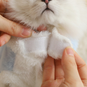 Winter <b>Clothes</b> for <b>Cats</b>: Warm and Transforming Pet <b>Clothes</b>, Anti-Shedding Plush Toys for Kittens, Cute and Perfect for Autumn - Product Image 4