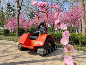 Silla de Ruedas Personalizada con Orugas de Goma Triangulares y Motor a Control Remoto - Product Image 6