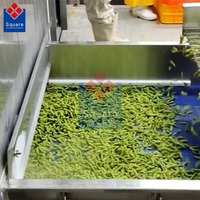 Precisie-geproduceerde IQF-tunnelvriezer voor fruit |   Nul vochtverlies