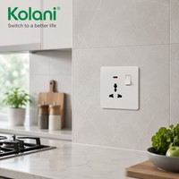 Prise murale universelle multifonction Kolani Factory OEM ODM UK 1 gang avec interrupteur et voyant néon, 13A, en PC ignifuge