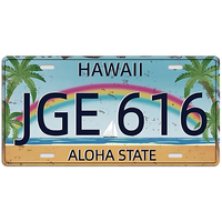 Personalizado 15*30cm Vintage Car Metal Tin Sign Car License Plate Wall Art Decora Motocicleta Garaje Matrícula Custom Tin Sign