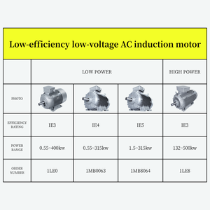 Moteurs à induction basse tension 1HP-430HP horizontaux 2P 4P 6P 8P triphasés AC asynchrones 50Hz/60Hz W21 Weg W21 en stock - Product Image 5