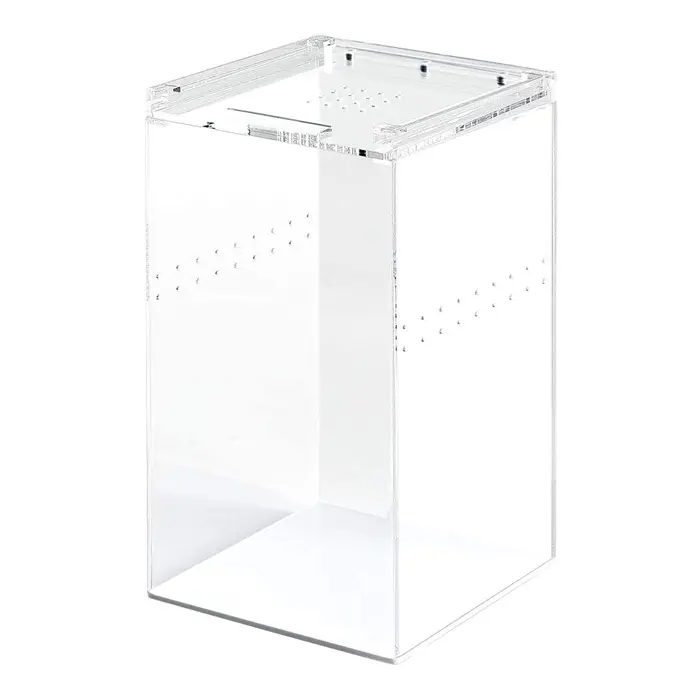 Clear Tall Acrylic Reptile Feeding Case For Scorpion Lizard Wholesale Acrylic Insect Breeding Box With Magnetic Top Lid