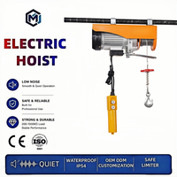 Mini-treuil électrique portable sans fil, antirouille, longue durée de vie, télécommande, IP54, 220 V, pour usine, garage, atelier