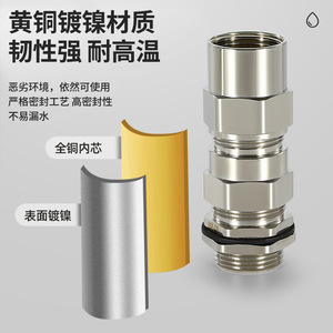 QG Metal Nickel Plated Brass Cable Gland Pg Thread 20-75mm IP68 Waterproof Industrial Armor Cable Connector - Product Image 3