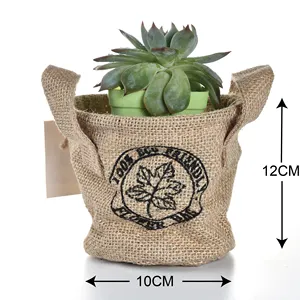 Paquet de tissu de jute naturel bricolage Kit de culture de plantes de jardin pour la décoration intérieure