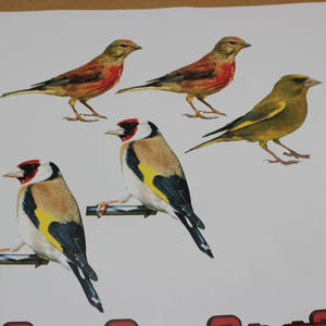 Autocollant slim en vinyle brillant découpé, étiquette personnalisée, avec impression de logo, imperméable, nouvelle collection 2020 - Product Image 3