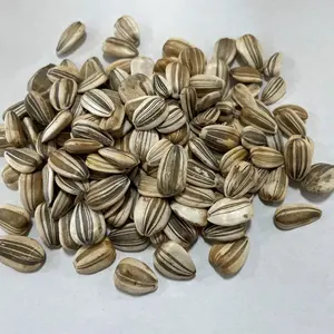 Noyau de graine de tournesol/graines de tournesol en vrac