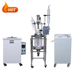 10L Lab Agitated Tank Glass Reactor Heater with Chiller