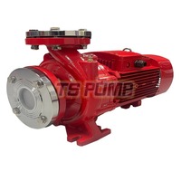 Pompe centrifuge horizontale standard en fer pour l'irrigation agricole et la lutte contre les incendies, personnalisable OEM
